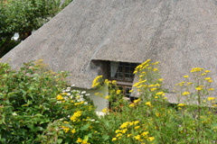 thatch roofing Orkney Islands