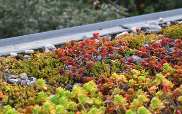 the cost of Orkney Islands green roof installation