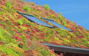 Orkney Islands living roof systems