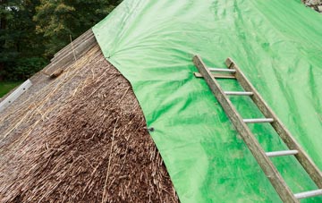 maintaining Orkney Islands thatch