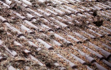 Orkney Islands roof cleaning companies