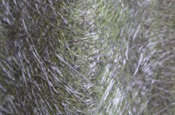 Orkney Islands fibreglass roof work